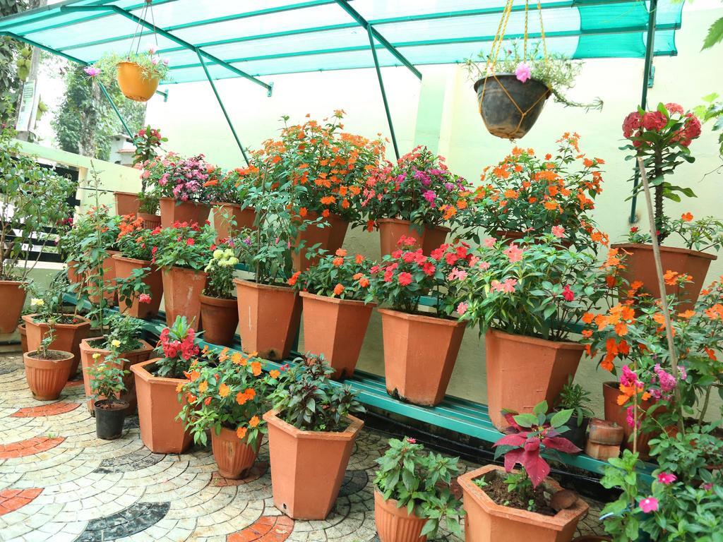 Mangalappillil Homestay Munnar Exteriör bild